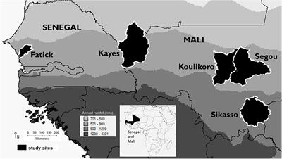 Uptake of agroforestry-based crop management in the semi-arid Sahel – Analysis of joint decisions and adoption determinants